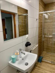 W łazience znajduje się umywalka i prysznic. w obiekcie Willa Łąkowa w mieście Gostynin