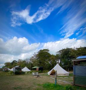 a group of tents in a field with a blue sky at Quex Livery Glamping in Birchington