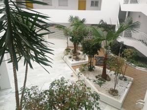 Zahrada ubytování Apartamento Playa Velilla Park II
