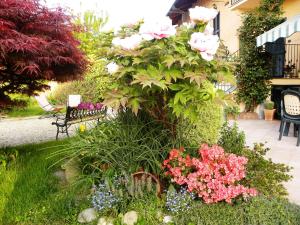 Zahrada ubytování Bed&Breakfast La Siepe