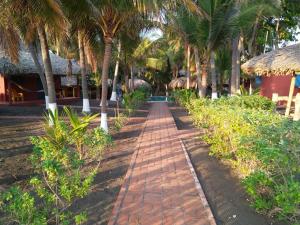 un chemin en briques bordé de palmiers dans un complexe dans l'établissement Hotel Pez de Oro, à Monterrico