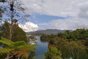 a view of a river in the middle of a forest at Ecolodge Bahia del Peñón in Guatapé