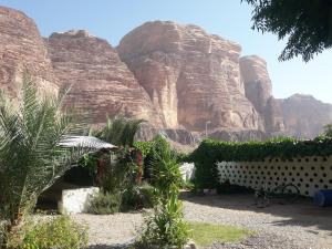 a view of a mountain with plants and a fence at WadiRum Village Lodge in Wadi Rum