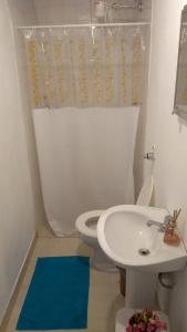 ein Bad mit einem WC und einem Waschbecken in der Unterkunft Guest House Nosso Aconchego in Teresópolis