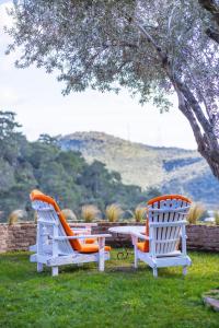 Billede fra billedgalleriet på Çetmihan Hotel i Küçükkuyu