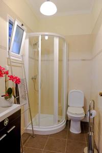 a bathroom with a shower and a white toilet at Granny's house view in Funchal