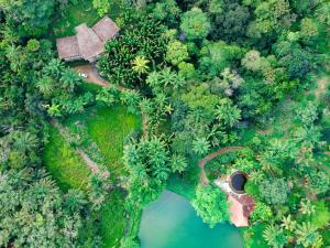 an overhead view of a forest with a house and a river at Paraíso das Águas Hotel Bahia in Ituberá