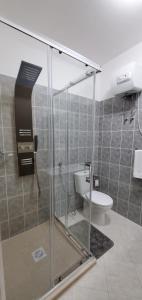 W łazience znajduje się przeszklony prysznic i toaleta. w obiekcie Apartamento Teixeira w Espargos