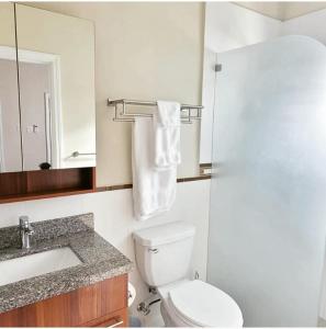 a bathroom with a toilet and a sink and a mirror at Paradise Oasis at Oceanpointe - pool and free parking in Lucea