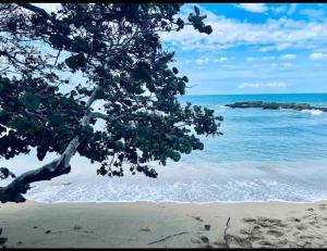 Peisaj natural din apropierea acestei case de vacanță