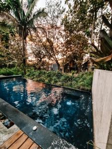 Kolam renang di atau dekat dengan Little Escape