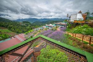 a view of a garden on top of a building at แสงเหนือแคมป์ปิ้งม่อนแจ่ม in Ban Mae Raem