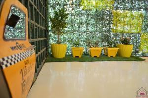 a row of plants in yellow pots in a room at Furnished 2BHK Independent Apartment 8 in Greater Kailash - 1 with 2 Balconies in New Delhi