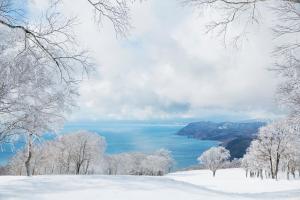 een winteruitzicht op een meer met sneeuw bedekte bomen bij The Windsor Hotel TOYA Vignette Collection in Lake Toya +242 foto's