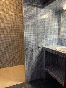 ein blau gefliestes Bad mit einem Waschbecken und einer Dusche in der Unterkunft Mas Catalan in Torreilles