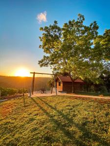 un albero in un campo con il tramonto sullo sfondo di Vovô Emílio Chalés a Nova Petrópolis