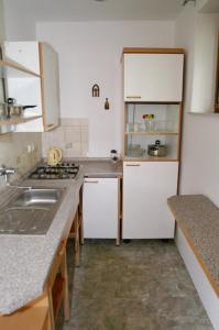 eine Küche mit einer Spüle und einem Kühlschrank in der Unterkunft Ubytování na Hluboké in Hluboká nad Vltavou
