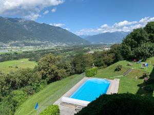 a swimming pool in a field with mountains in the background at Apartment Casa Wiro in Magadino