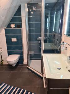 a bathroom with a shower and a sink and a toilet at Exklusive Ferienwohnung nahe der Nordsee in Wesselburen