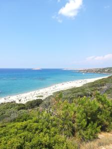 a view of a beach with people in the water at Sea Paradise Apartment in Valledoria