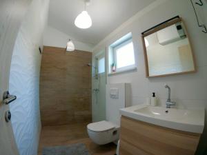 ein Bad mit einem WC, einem Waschbecken und einer Dusche in der Unterkunft Gavan Room in Cres