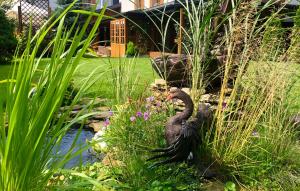 a black bird in the grass next to a pond at Art & Garden Residence in Krakow