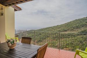 Táj Show holiday homes közelében