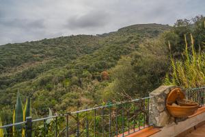 Táj Show holiday homes közelében