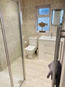a bathroom with a shower and a toilet and a sink at The Bluebell Porthmadog in Porthmadog