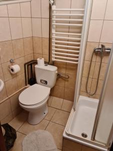 カジミエシュ・ドルニにあるPokoje Dębowaの小さなバスルーム(トイレ、シャワー付)