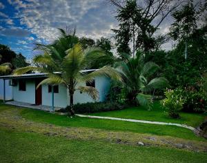 a house with a palm tree in front of it at Private Tropical Paradise - Gatuncrocs in Cuipo