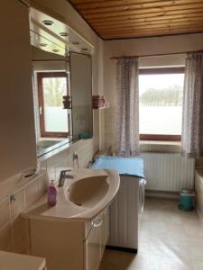 a bathroom with a sink and a mirror and a window at Ferienwohnung am Sophienberg in Wensin