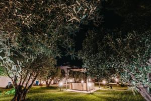 Φωτογραφία από το άλμπουμ του Cyclades Luxury Studios στη Νέα Ποτίδαια