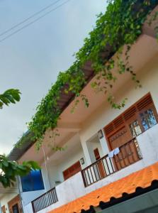 uma casa com plantas ao lado dela em Green View Guest em Mirissa