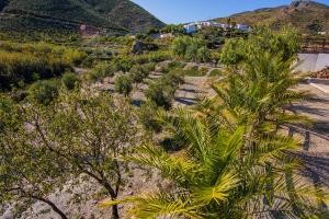 Zdjęcie z galerii obiektu Cortijo 4 Elementos w mieście Lucainena de las Torres