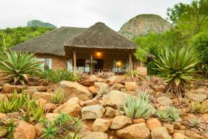 a house with a straw roof and a pile of rocks at Amafu Forest Lodge in Hoedspruit
