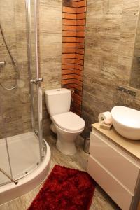 a bathroom with a toilet and a sink and a shower at Chałupy Na Brzyzku in Poronin +31 photos