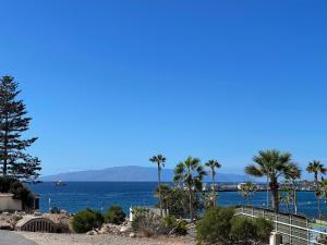 a beach with palm trees and a body of water at Apartamento Canarias in Los Cristianos