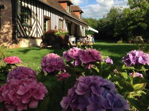 un groupe de fleurs violettes devant une maison dans l'établissement La Baronnie, à Vieux-Pont