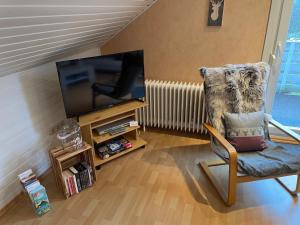 TV a/nebo společenská místnost v ubytování Haus Harzlich