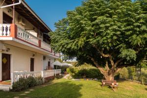 a tree in a yard next to a building at Corfu Country House in Vitalades