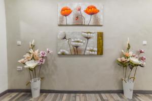 Fotografie z fotogalerie ubytování Apartmani Statik SD v destinaci Smederevo
