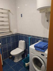 Уютная однокомнатная квартира в г. Бровары في بوفاري: حمام مع غسالة ومرحاض