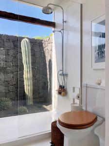 Baño con aseo y cactussen a través de una ventana en CASA TAMATINA by Villitas, en Playa Blanca