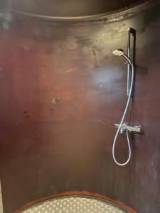 a shower with a hose attached to a wall at Tiny-House van zeecontainers bij het bos in Oranjewoud +13 photos