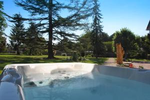 a bath tub filled with water in a yard at Hôtel Le Haut des Lys in Villandry