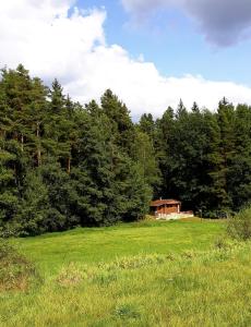 ein Haus inmitten eines Feldes mit Bäumen in der Unterkunft Chata - Na samotě u lesa in Levín