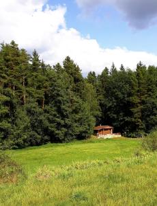 dom na środku pola z drzewami w obiekcie Chata - Na samotě u lesa w mieście Levín