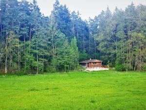ein Haus mitten auf einem grünen Feld in der Unterkunft Chata - Na samotě u lesa in Levín