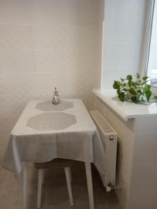 La salle de bains est pourvue d'un lavabo, d'une table et d'une plante. dans l'établissement Modern fresh-new appartment near the park Sofievka, à Ouman